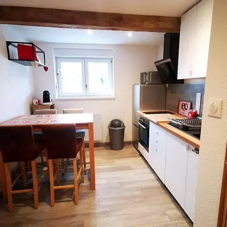 Joli Meuble De Tourisme Calme Et Proche Commodites Mulhouse