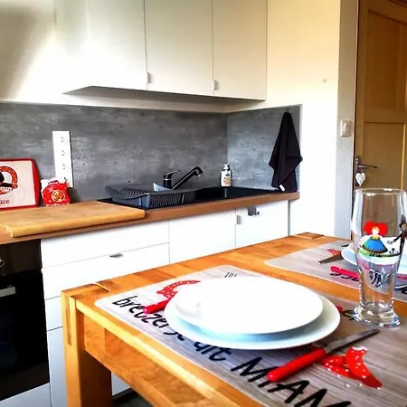 Apartment Joli Meuble De Tourisme Calme Et Proche Commodites Mulhouse